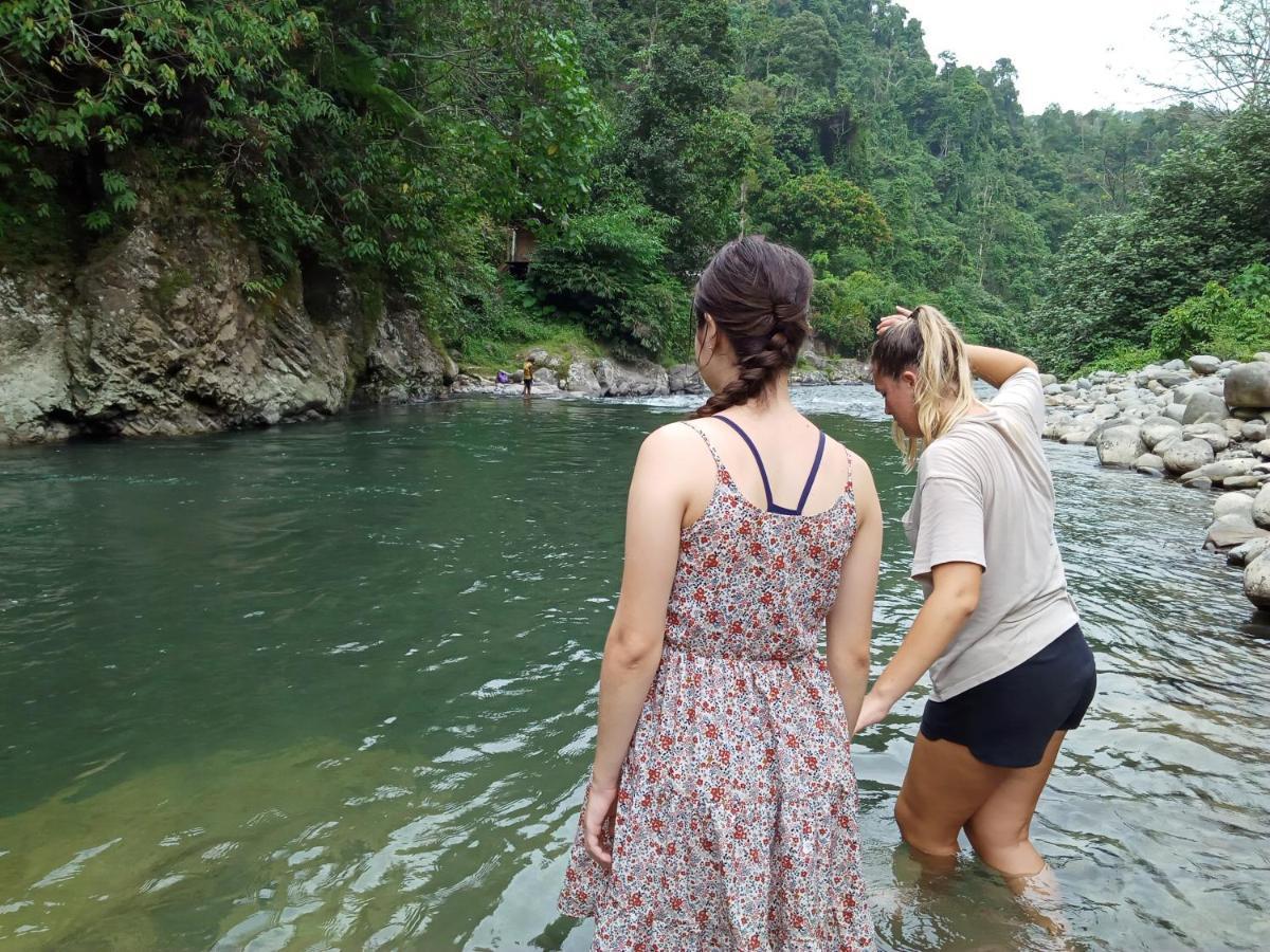 Orangutantreksumatra & Lovely Jungle Lodge Only Book If You Are Treking With Us Bukit Lawang Extérieur photo