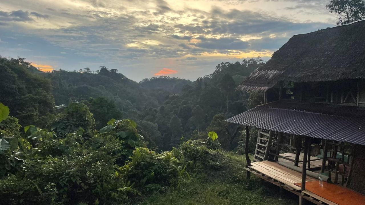 Orangutantreksumatra & Lovely Jungle Lodge Only Book If You Are Treking With Us Bukit Lawang Extérieur photo
