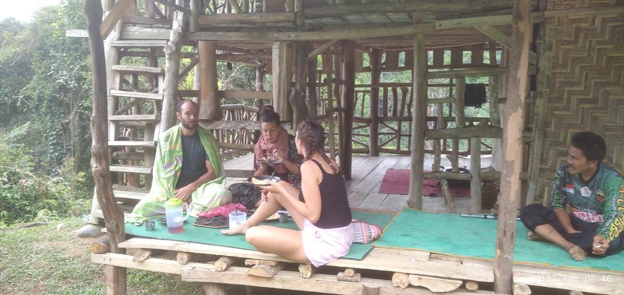 Orangutantreksumatra & Lovely Jungle Lodge Only Book If You Are Treking With Us Bukit Lawang Extérieur photo