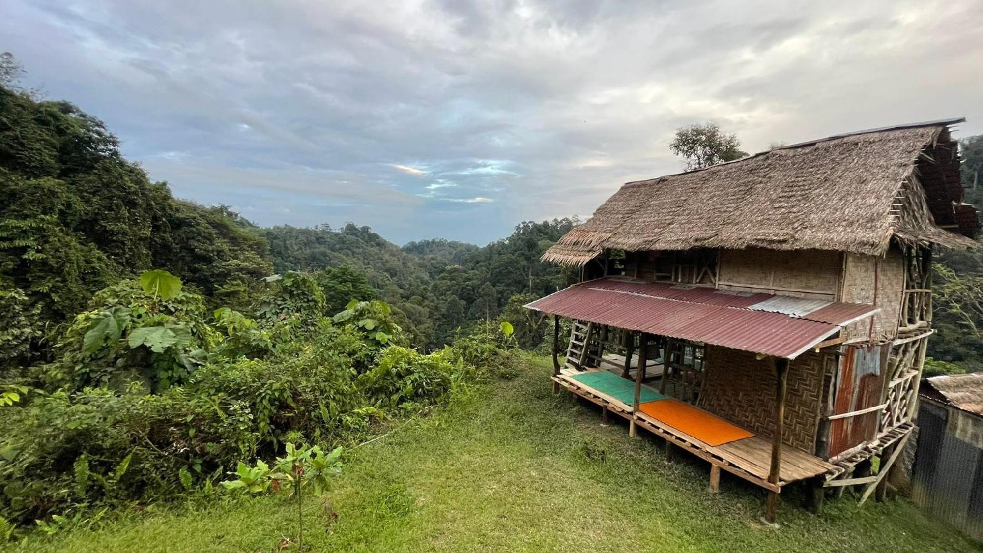 Orangutantreksumatra & Lovely Jungle Lodge Only Book If You Are Treking With Us Bukit Lawang Chambre photo