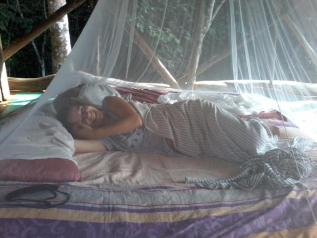 Orangutantreksumatra & Lovely Jungle Lodge Only Book If You Are Treking With Us Bukit Lawang Chambre photo