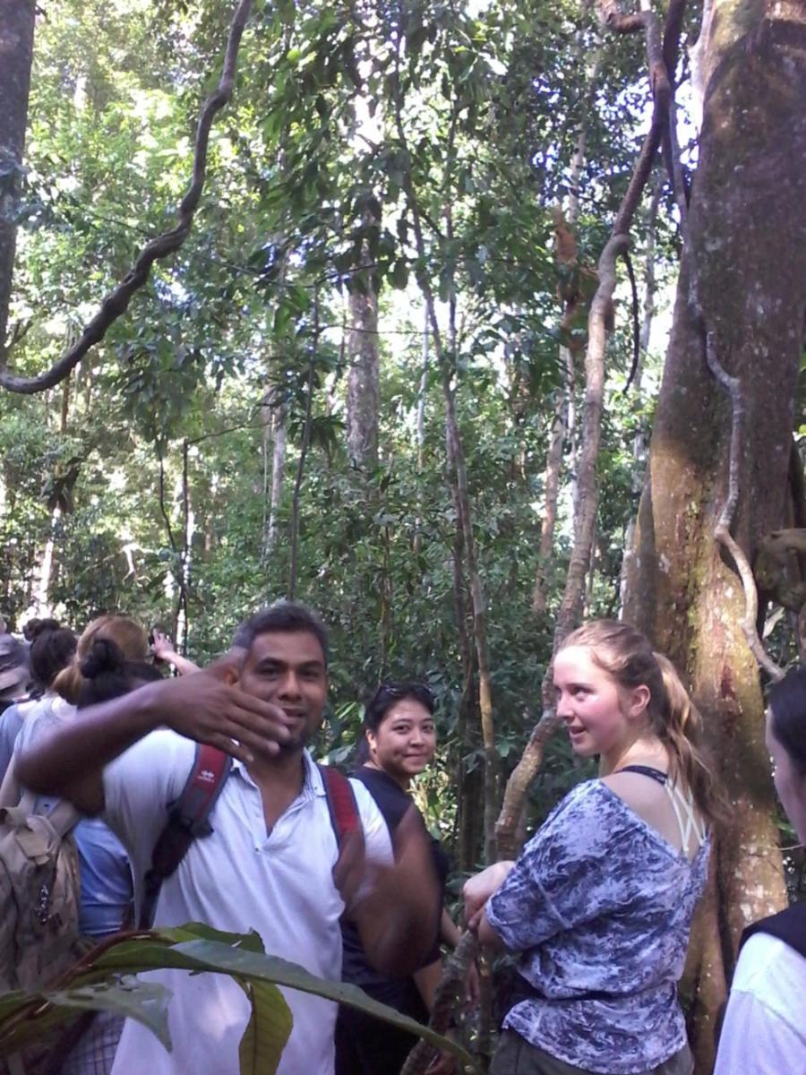 Orangutantreksumatra & Lovely Jungle Lodge Only Book If You Are Treking With Us Bukit Lawang Chambre photo