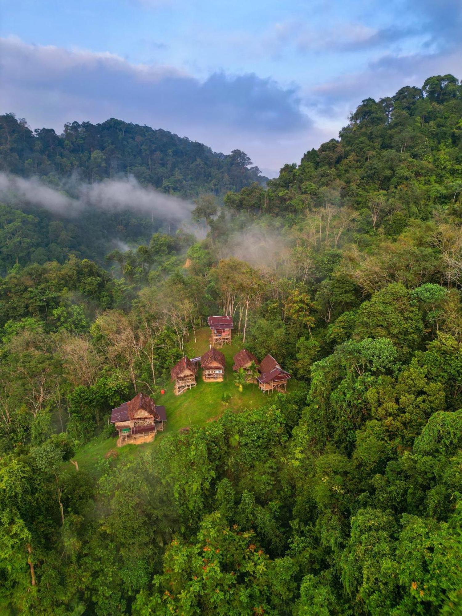 Orangutantreksumatra & Lovely Jungle Lodge Only Book If You Are Treking With Us Bukit Lawang Extérieur photo
