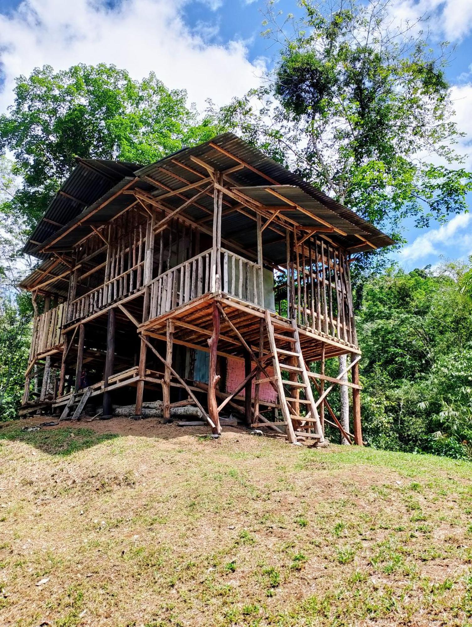 Orangutantreksumatra & Lovely Jungle Lodge Only Book If You Are Treking With Us Bukit Lawang Extérieur photo