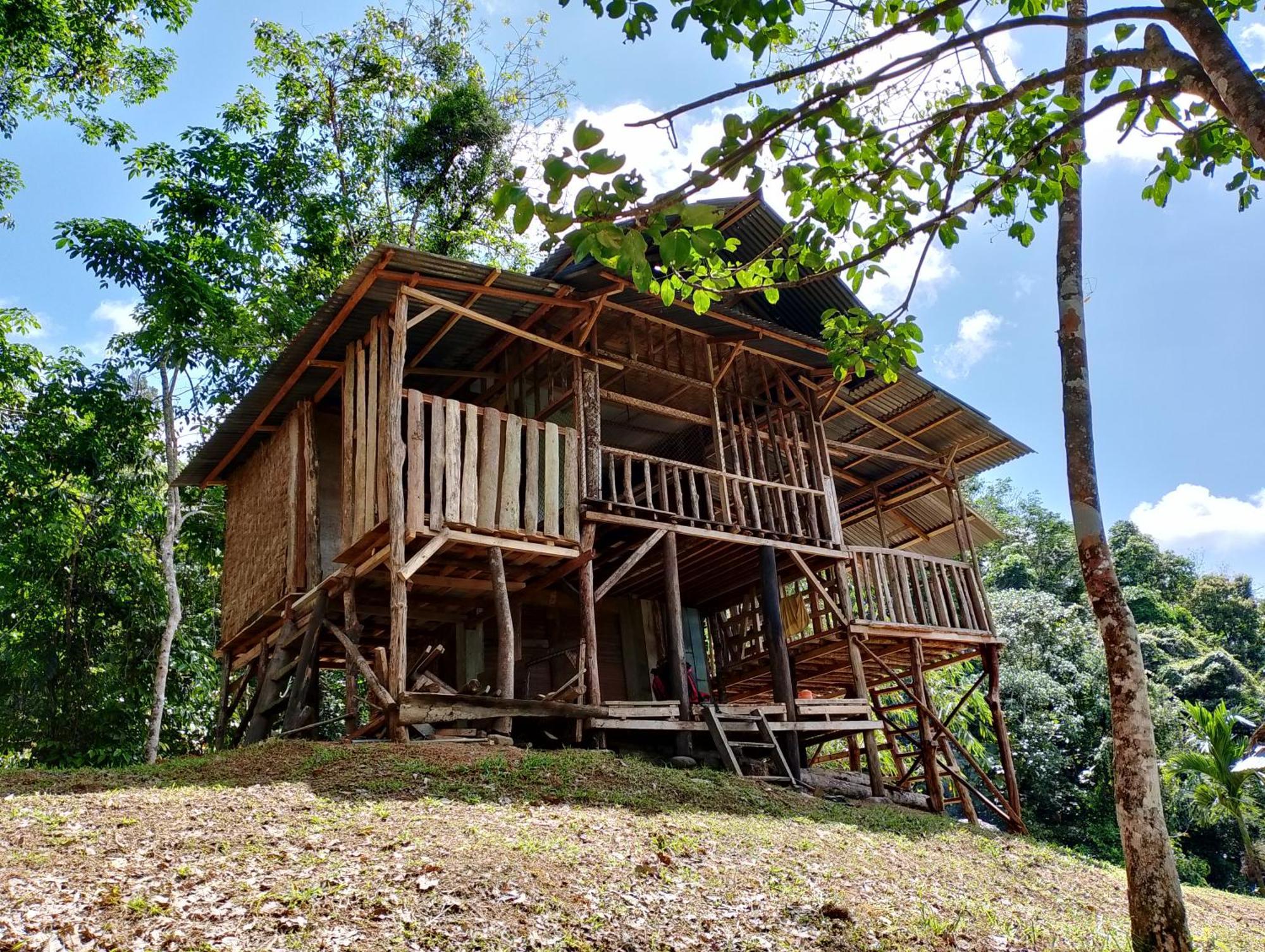 Orangutantreksumatra & Lovely Jungle Lodge Only Book If You Are Treking With Us Bukit Lawang Extérieur photo